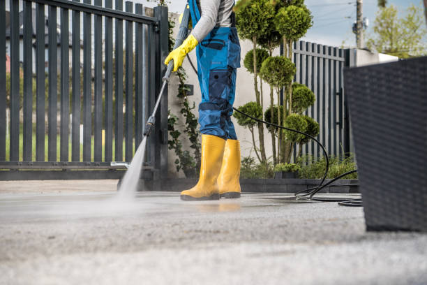 Best Exterior Home Cleaning  in Alpine, NJ