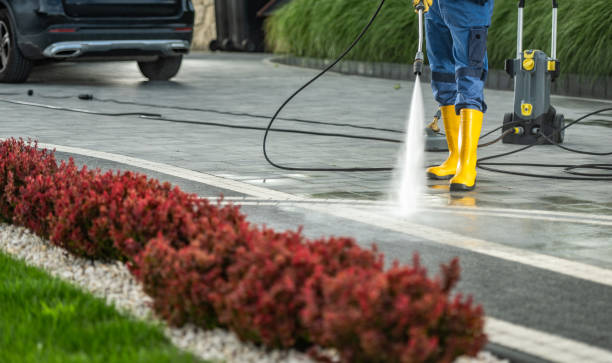 Best Affordable Power Washing  in Alpine, NJ