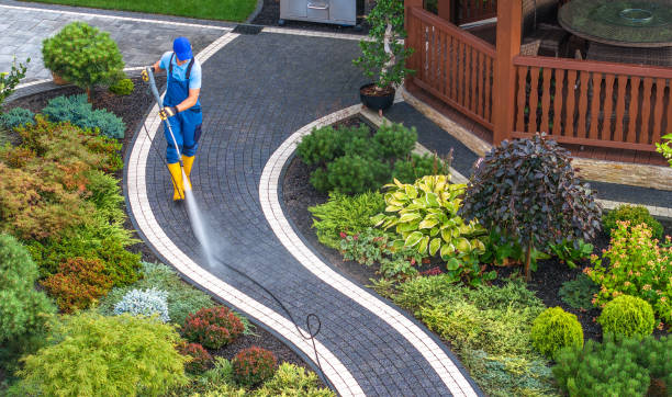 Best Power Washing Near Me  in Alpine, NJ